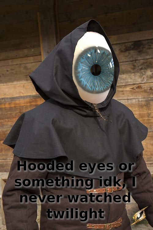 A photo of a hooded rogue, however the face has been replaced with a giant eyeball.