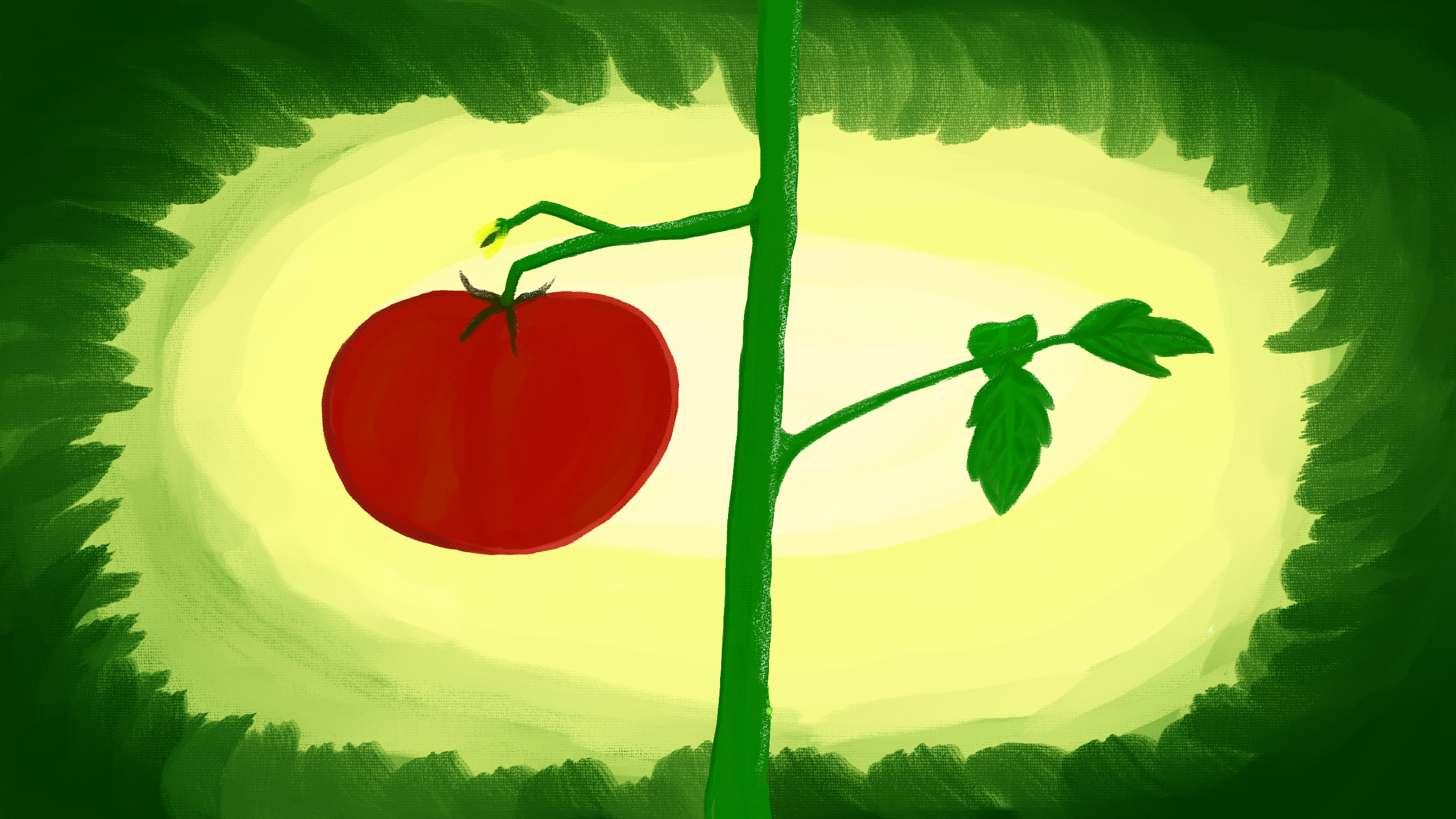 A tomato is attached to a vine in the center of the image. The background is abstract with a green border that fades into yellow then white in the center. It is a digital image that replicates a traditional painting with some canvas texture showing. A tomato is attached to a vine in the center of the image. The background is abstract with a green border that fades into yellow then white in the center. It is a digital image that replicates a traditional painting with some canvas texture showing.