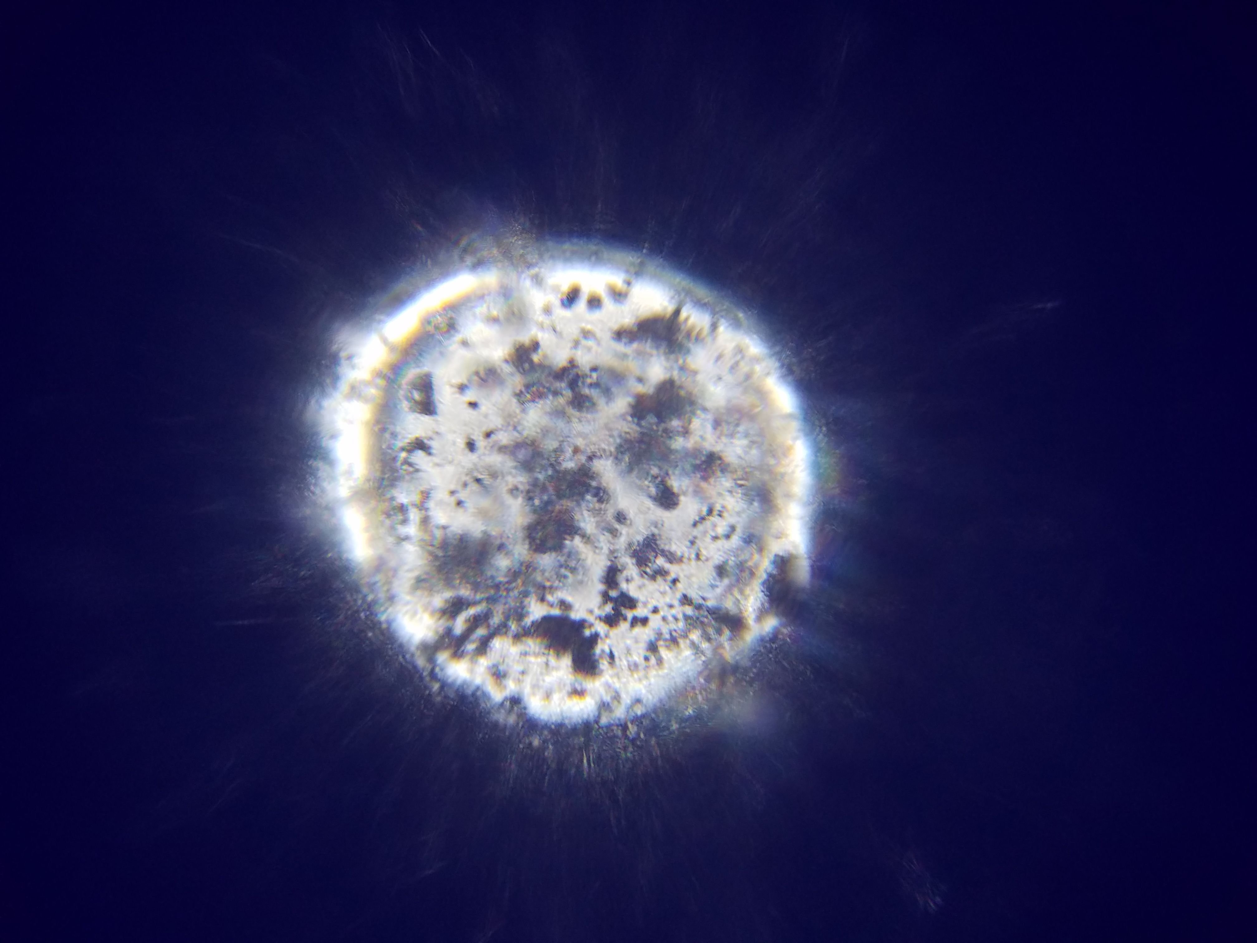 A white halo is in the center ontop of which there is are several unrecognizable globs. They form an interesting corona leading outward from the central halo. A white halo is in the center ontop of which there is are several unrecognizable globs. They form an interesting corona leading outward from the central halo.