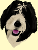 A painted portrait of Ruka's head. She is black and white, and the fur is so long, it covers her eyes.