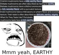 A collage with several descriptions of different types of mushrooms generally describing them as "earthy". The "oh sweet jesus" meme face is facing a cup of literal dirt with a caption saying "Mmm yeah, EARTHY"